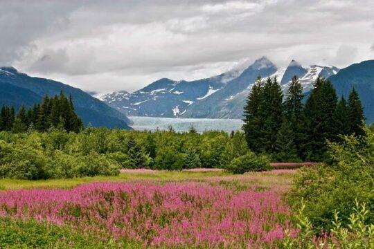 Juneau Private 3 Hour Sightseeing Tour with a Local