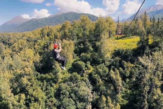 Zipline & Working Homestead Tour