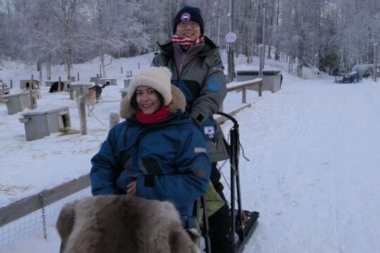 Dog Sledding and Mushing with 4X Iditarod Champ