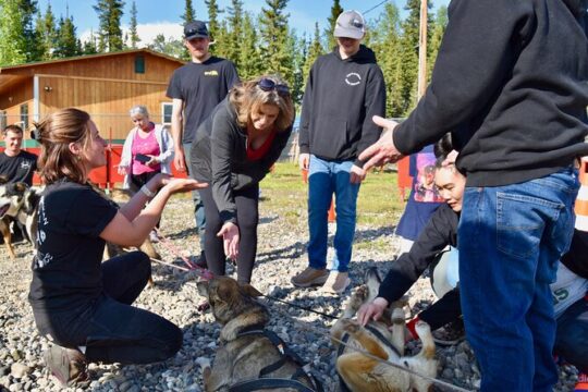 Fairbanks Sled Dog Adventure with Campfire & S'mores