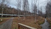 Getting to know about Fairbanks!