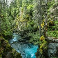 Private & Custom Tours