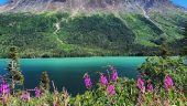 Best experience in the whole of Alaska cruise