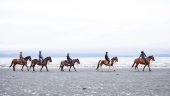Best Horse Ride Experience Ever!