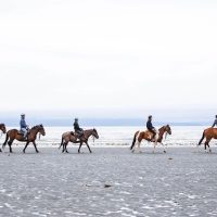 Horseback Riding