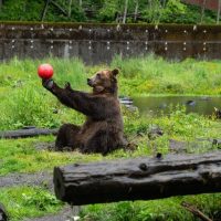 Holiday & Seasonal Tours