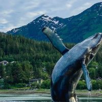 Nature & Wildlife