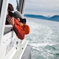 Holiday & Seasonal Tours