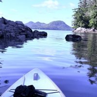 Stand Up Paddleboarding