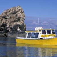 Half-day Tours