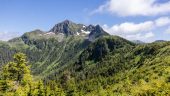 Unique Alaska experience