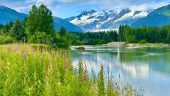 Highly Recommend Joel in Juneau!