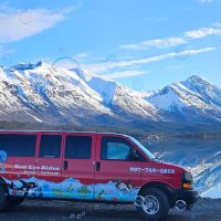 Airport & Ground Transfers