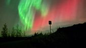 Our Aurora ordeal 