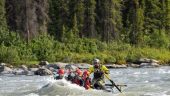 Great for more adventurous family who wants to do something different